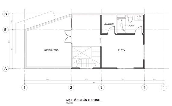 mau-thiet-ke-nha-co-tang-lung-dep-4