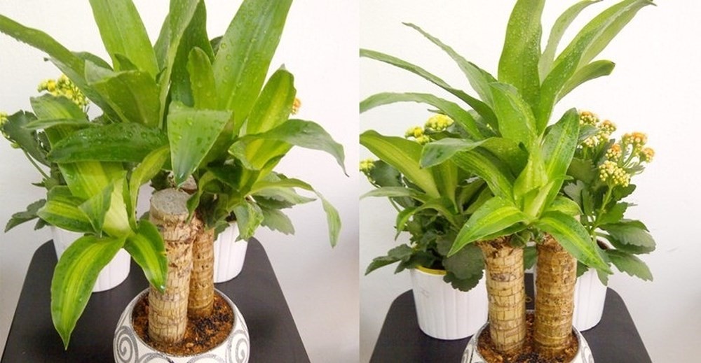 thiết kế nhà đẹp giá rẻ-2